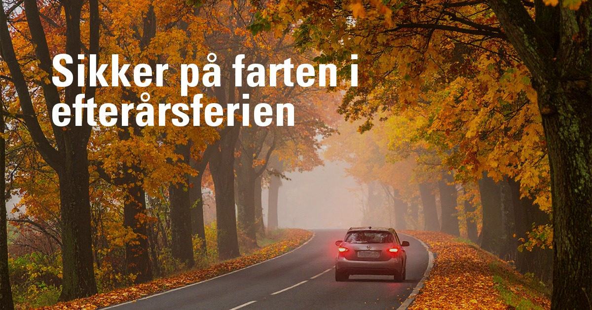GUMMI-OLE giver tre tips til sikker kørsel i efterårsferien