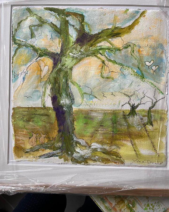 Opdatér dig her: Det nyeste fra Risskov