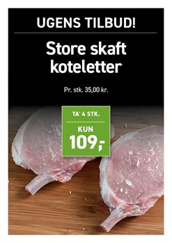 Opslagsbillede