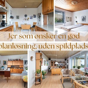 Opslagsbillede