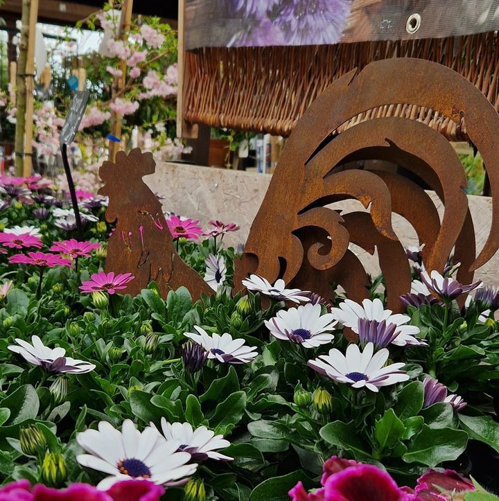 Opdatér dig her: Det nyeste fra Hobro