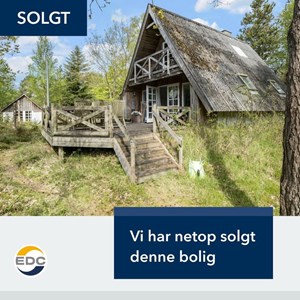 Opslagsbillede