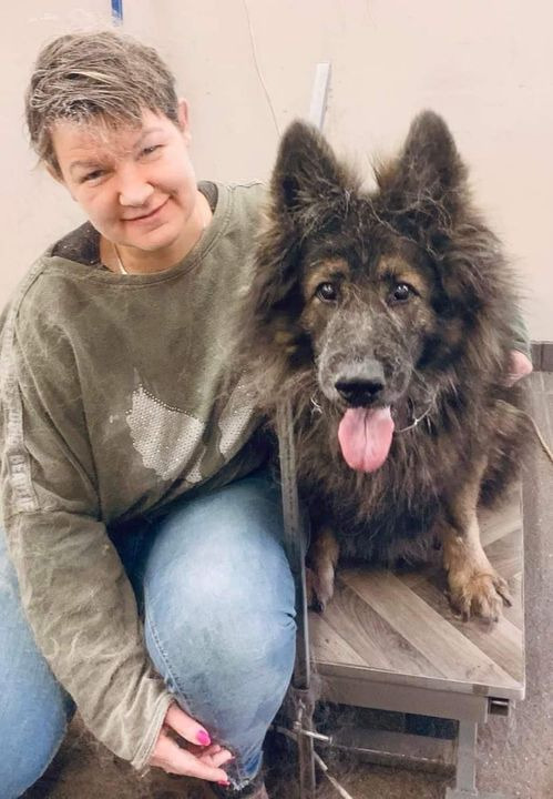 Opdatér dig her: Det nyeste fra Sæby