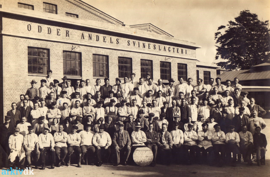Odder Andels Svineslagteri - et tilbageblik på Danmarks største svineslagteri