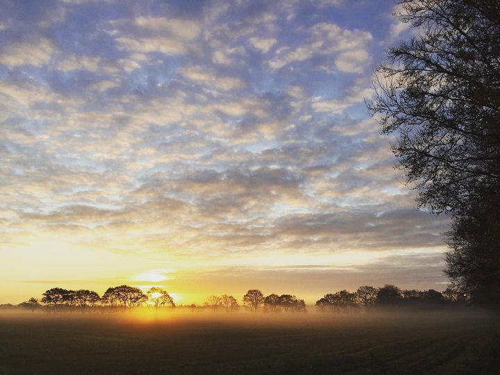 Nyt på opslagstavlen i Hammel