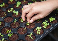 Flere nye uddannelser i Viborg Kommune