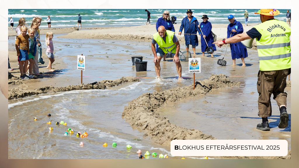 Blokhus' berømte anderæs: En sjov dag for børn ved Blokhus Bæk