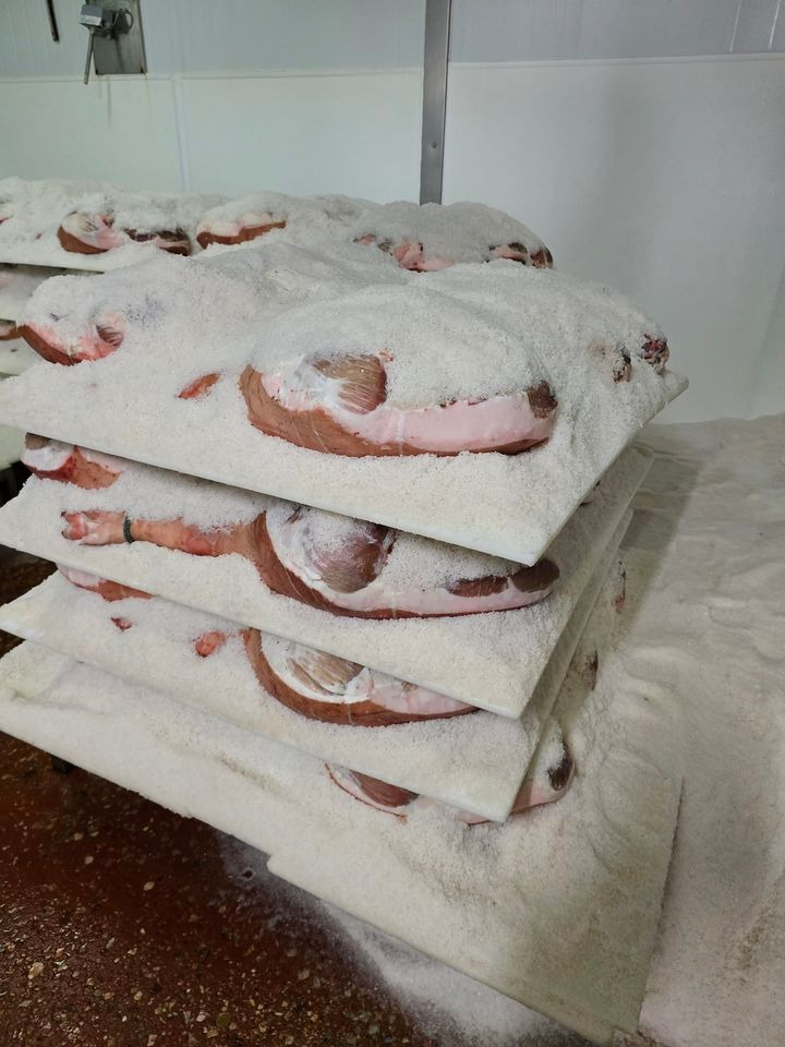 Café Tidslös besøger topkvalificeret tørrefacilitet i Spanien til importprojekt