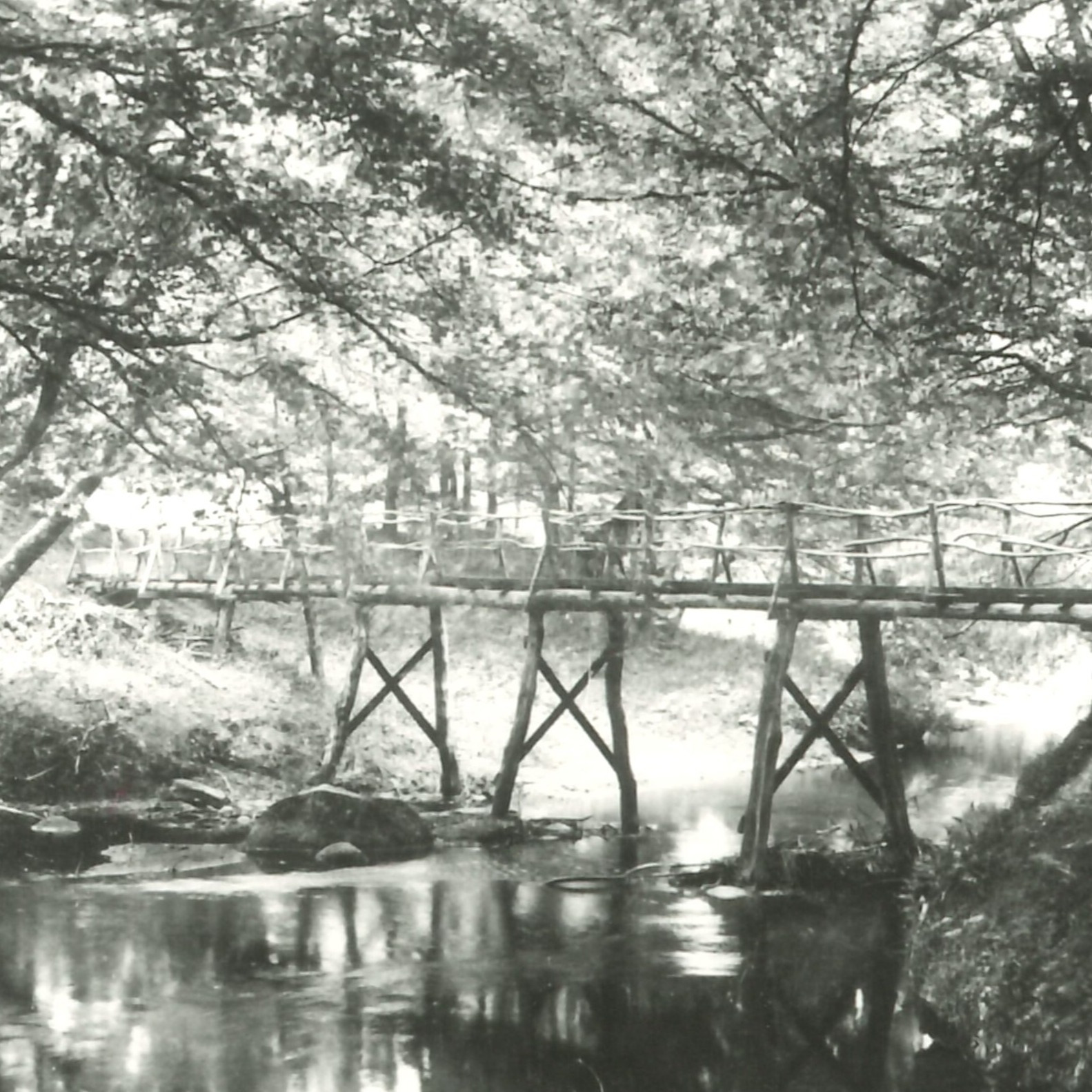 Oplev vandreturen 'De glemte broer' i Sæby