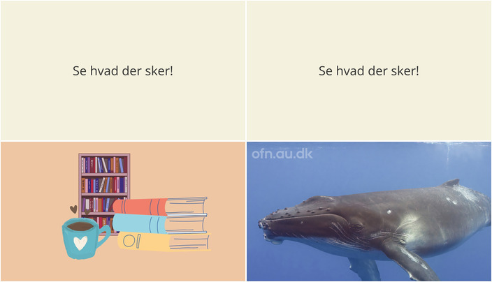 Kom til læsekreds og hvalforedrag: En uge med spændende arrangementer i Årslev