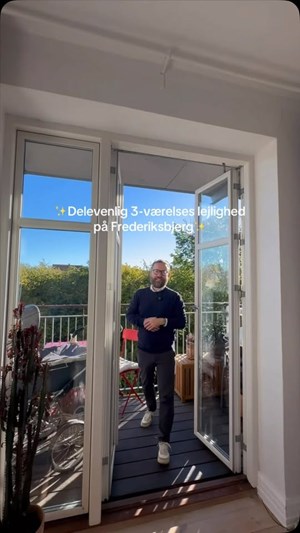 opslagsbillede