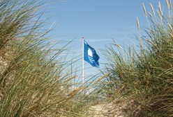Udforsk naturen ved Marbæk Strand med Blå Flag arrangement