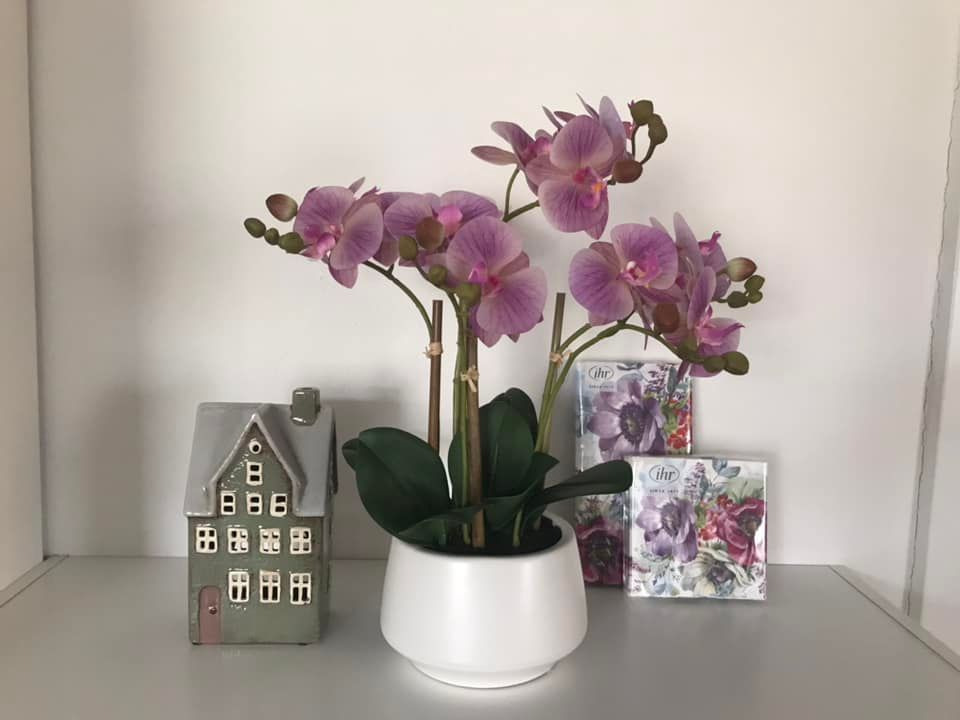 Opdatér dig her: Det nyeste fra Skive