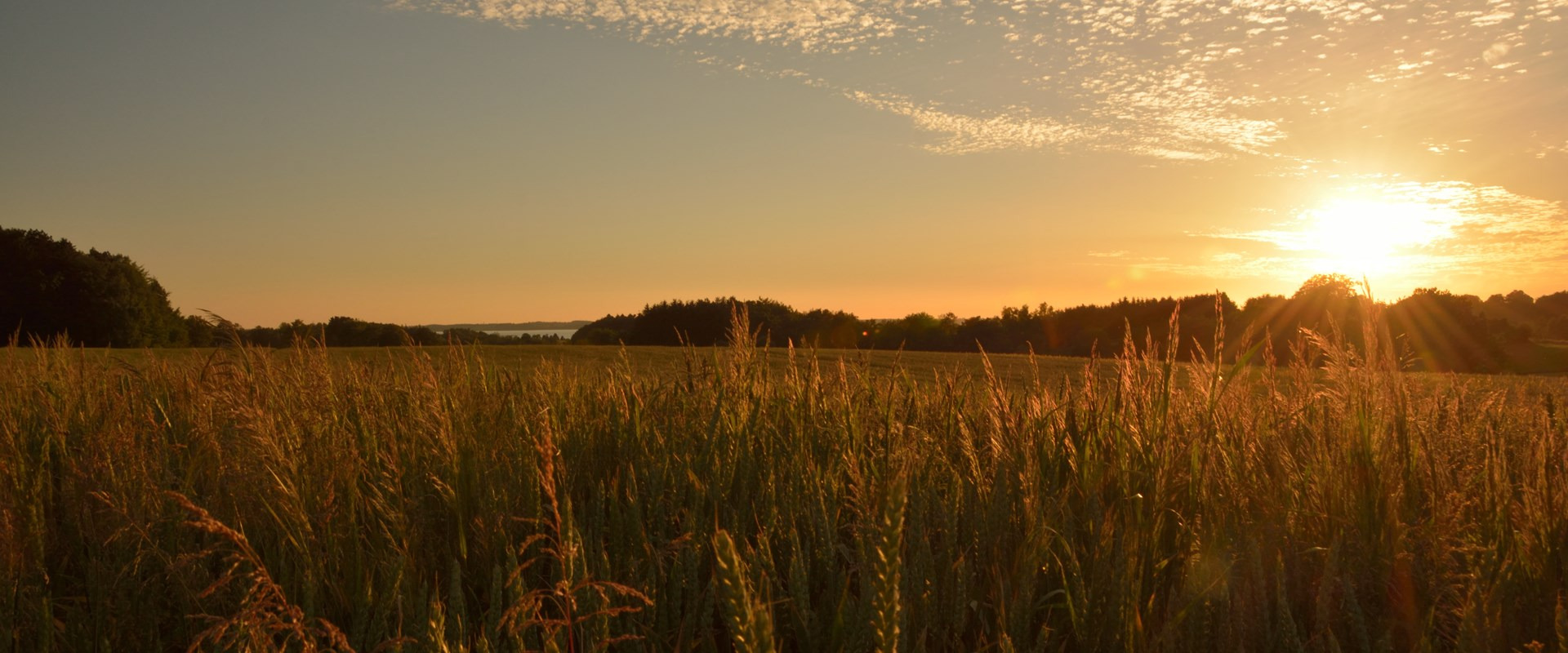 Inspirationsaften for Herning Kommunes landsbyer