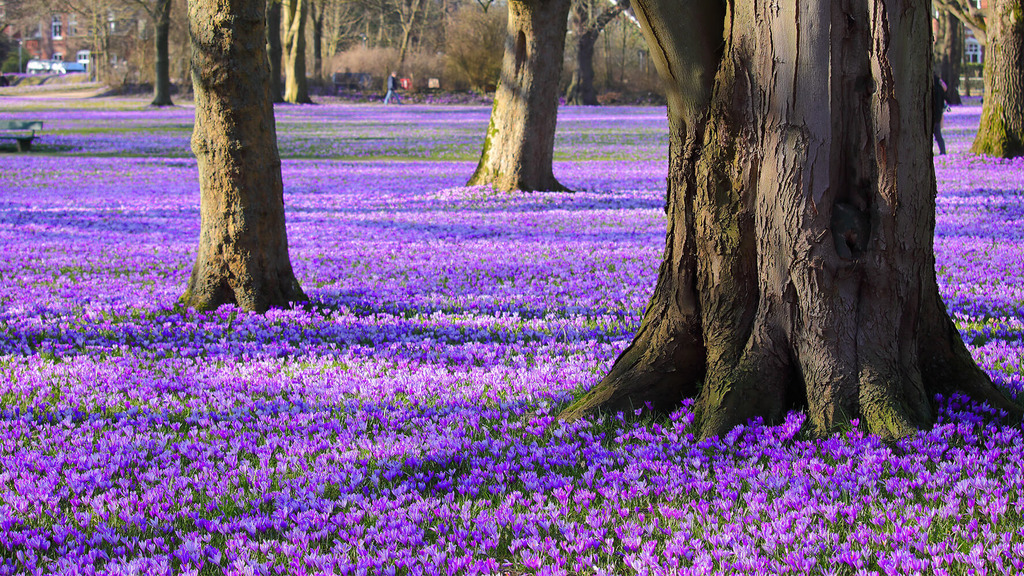 Oplev spændende arrangementer på Esbjerg Hovedbibliotek