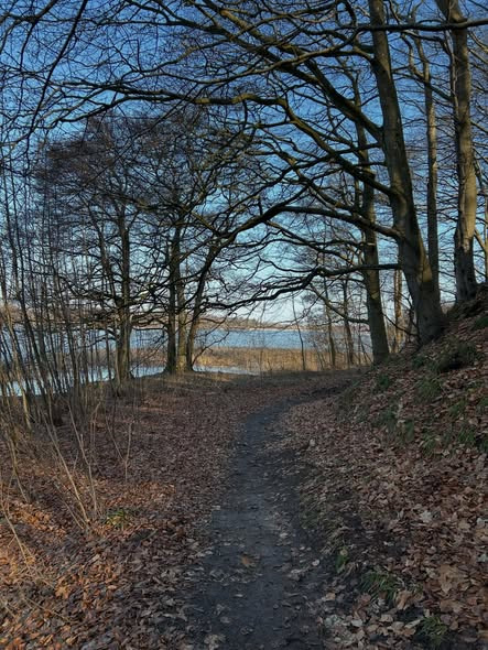 Bachs Begravelser nyder forårsvejret mens de arbejder og reflekterer