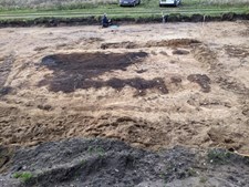 Museerne i Holstebro afslører jernalderbondens husdyr gennem arkæologiske fund