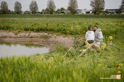 Grøn Grundlovsdag i Egå: Fællesskab og Natur fejres på EUH