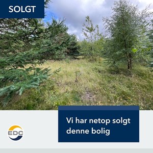 Opslagsbillede