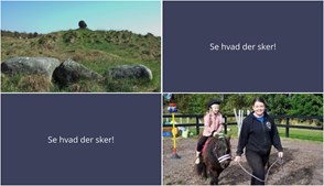 Aktiviteter på Læsø denne weekend: Vandretur og Halloween Rideeventyr