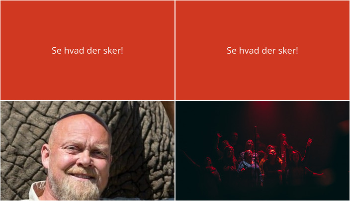 Foredrag om elefanter og fællessang i Terndrup - Hvad du kan opleve i næste uge