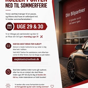 Opslagsbillede