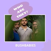 Niclas Knudsen i samtale forud for Bushbabies-koncert hos Underværket