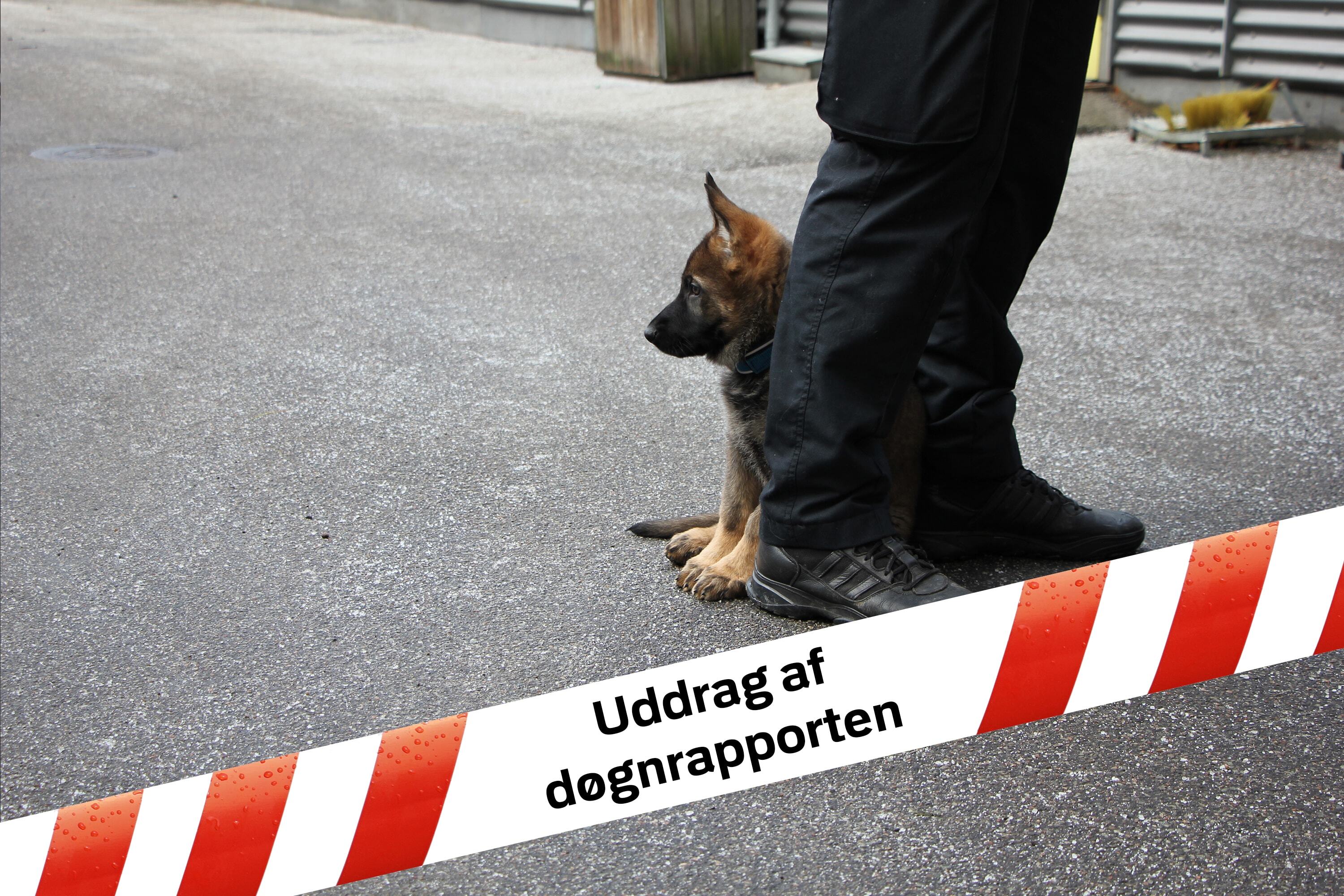 Midt- og Vestsjællands Politi: Seneste nyt fra Hørve - tirsdag den 27. juli