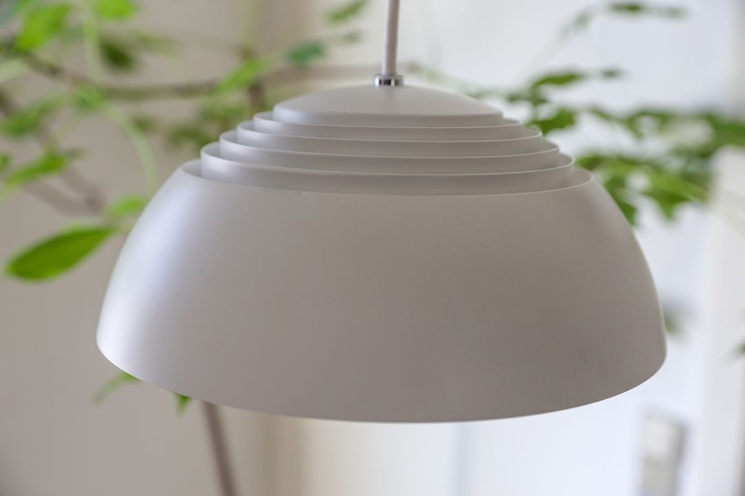 Opslagstavlen: Nyeste opdateringer fra Vejle