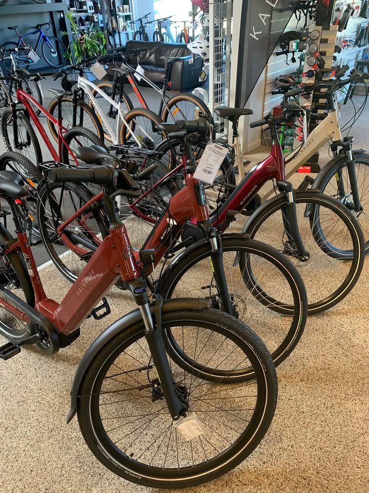 Birks Bike Shop ApS inviterer til test af elcykler med fuld instruktion og tilfredshedsgaranti