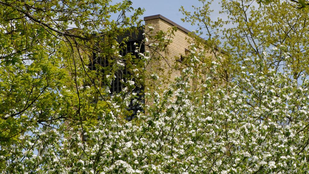 Oplev julens magi ved julekrybben i Simon Peters Kirke