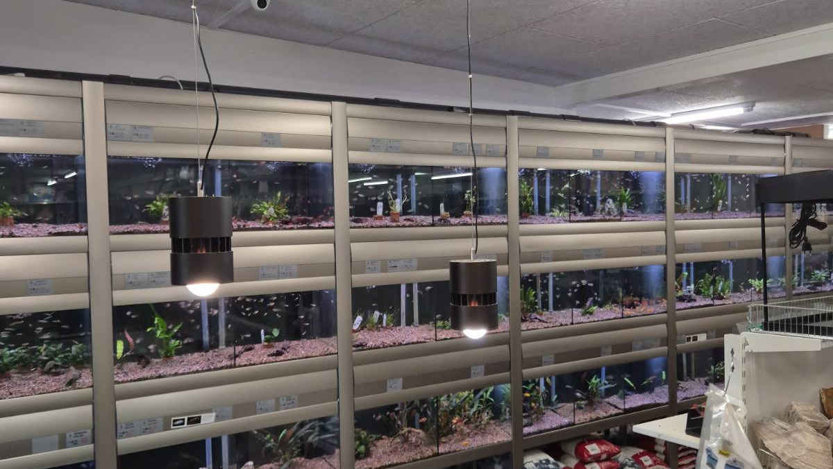 Akvarier får nyt liv efter sommerferien hos Tufra Dyrecenter