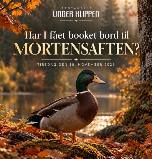 Restaurant Under Klippen serverer Mortensaftenmenu den 10. november