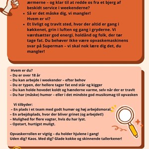 opslagsbillede