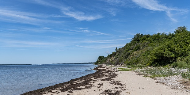 E. Coli ved Klinten Strand: Frederikssund Kommune fraråder badning
