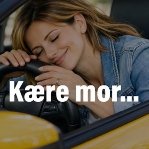 Opslagsbillede