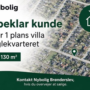 Opslagsbillede