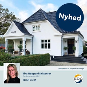 Opslagsbillede