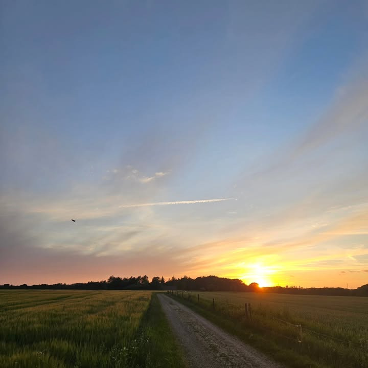 Brandsborgs Kropsterapi tager imod børn, unge og voksne i ugen inden sommerferien