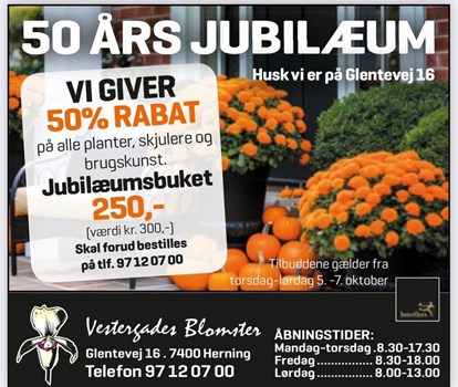 Opslagsbillede