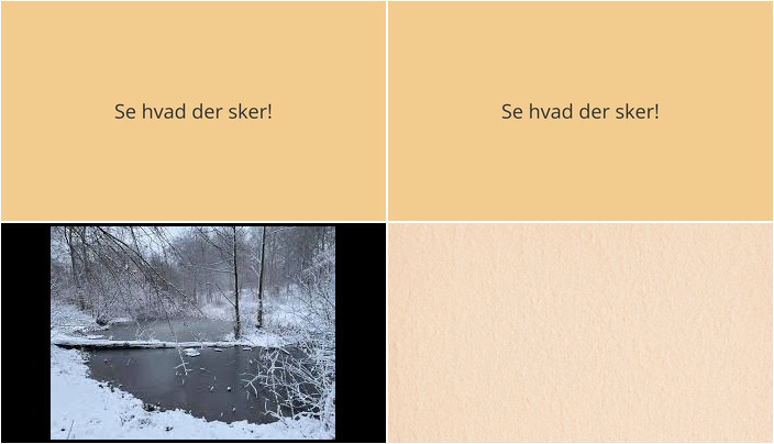 Aktiviteter i Værløse denne weekend: Træning i skoven og festlig fastelavn