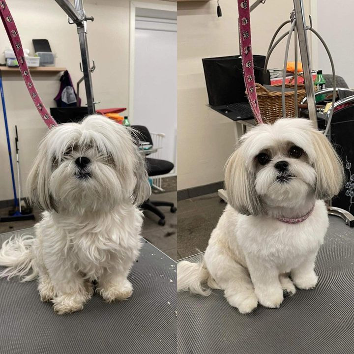 Nyt på opslagstavlen i Sæby