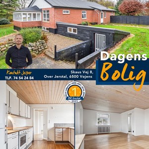 Opslagsbillede