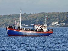 Fladfiskecup i Helsingør: En dag fyldt med fiskeri og præmier