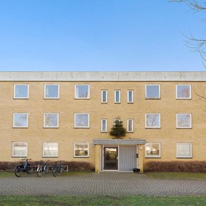 Opslagsbillede