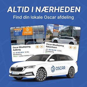 Opslagsbillede