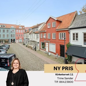 Opslagsbillede