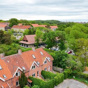 Opslagsbillede
