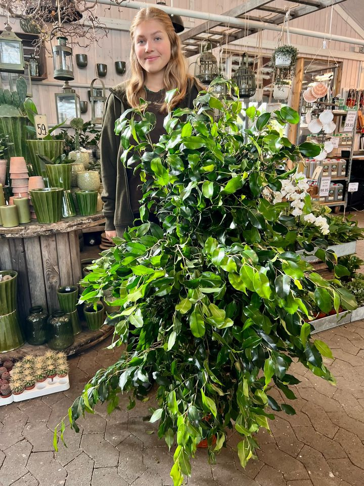 Opslagstavlen: Nyeste opdateringer fra Sæby