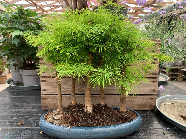 Hold dig ajour med dagens opdateringer fra Brønderslev